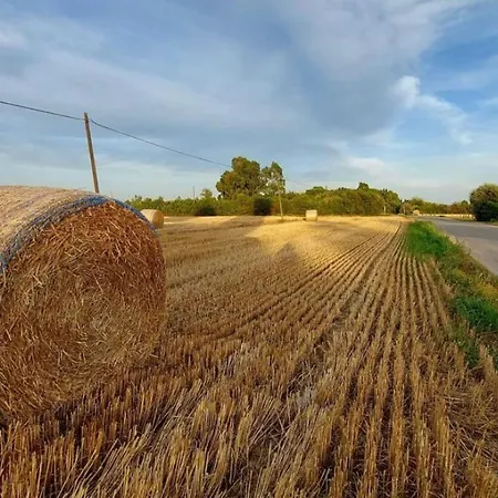 Il Cantuccio Cascina
