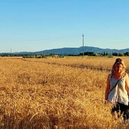 Panzió Il Cantuccio Cascina