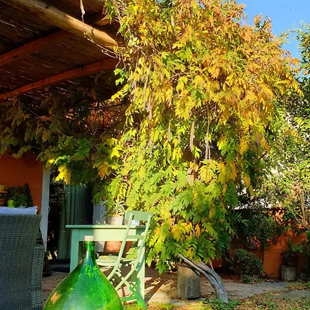 Nocleg ze śniadaniem Il Cantuccio Cascina