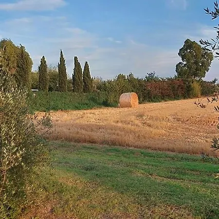 Bed & Breakfast Il Cantuccio Cascina
