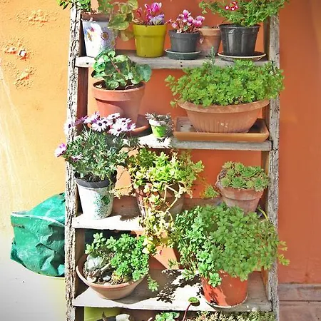 Bed & Breakfast Il Cantuccio